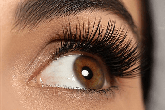 lash suppliers austrilia